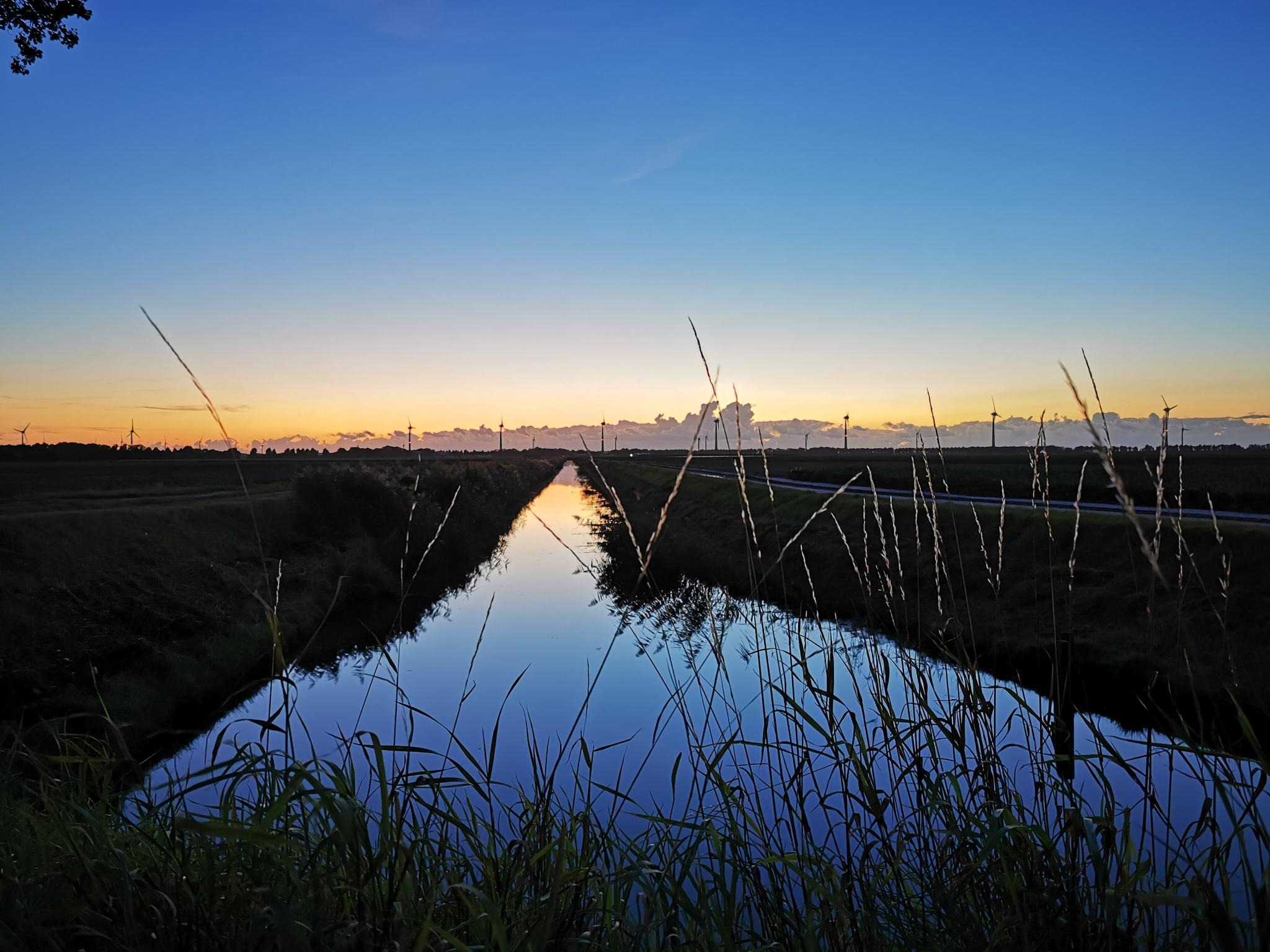 Abendsonne in NL